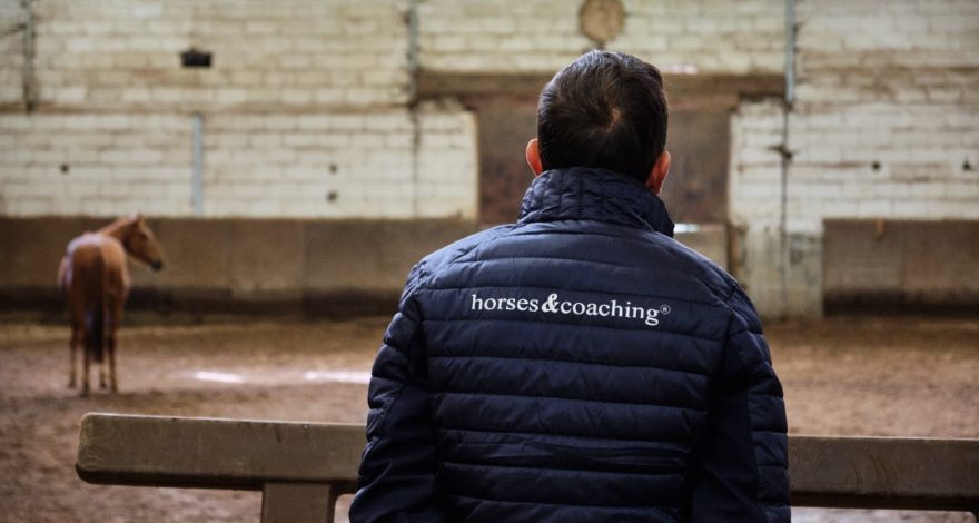 Horses and Coaching Le Mans Avecesens Leblanc